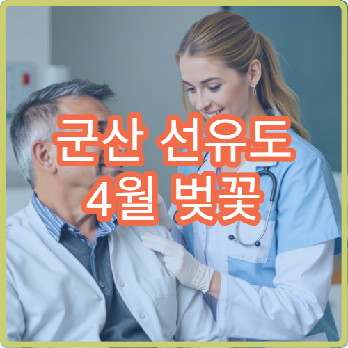 군산 선유도 4월 벚꽃 캠핑 차박 해안가 추천 사이트 예약 팁