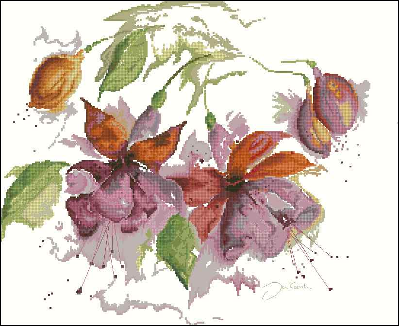 CMP 170111 Fuchsias In Watercolor