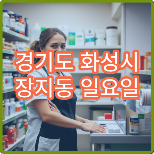경기도 화성시 장지동 일요일 당번약국 안내 주말 약국 위치 한눈에 보기