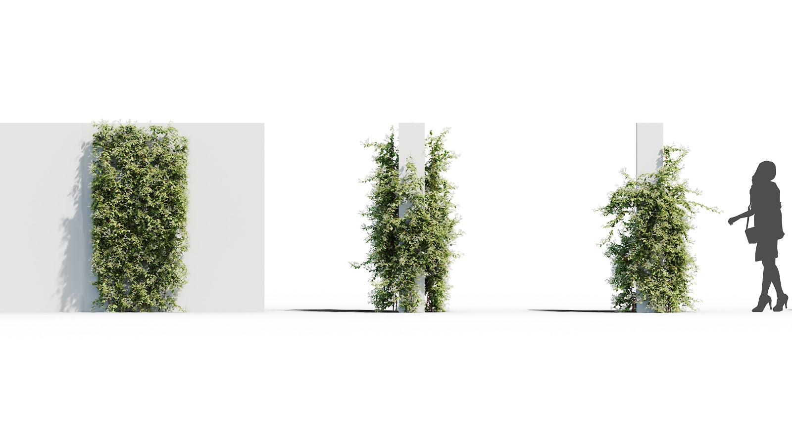 Maxtree - Plant Models Vol.37