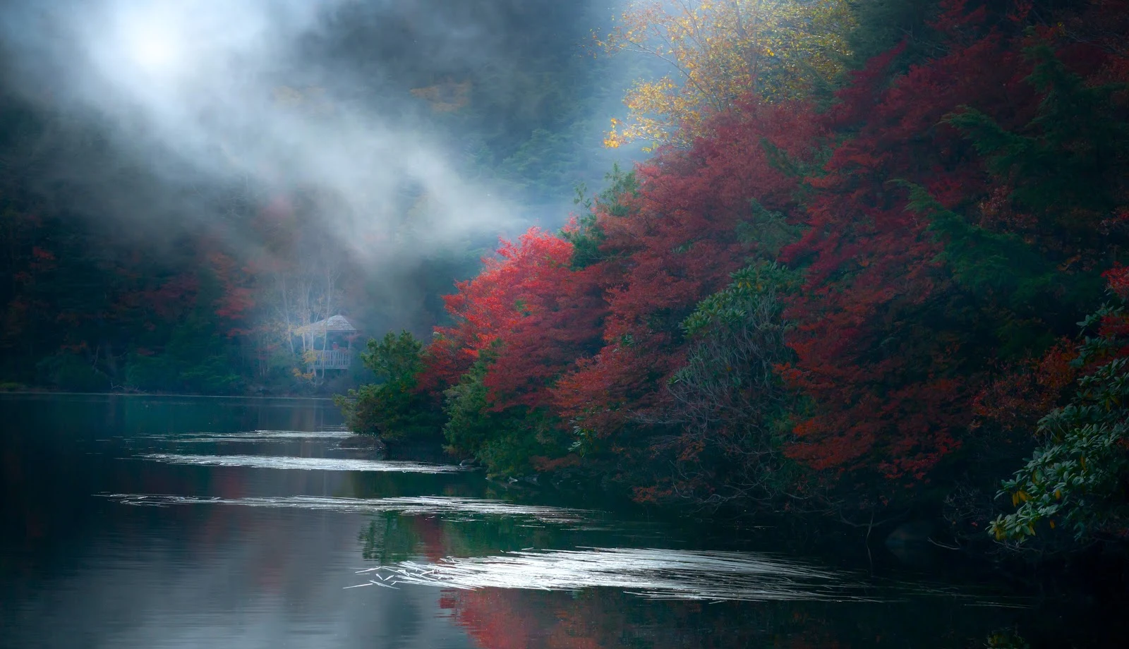 Misty Autumn Woods By Water - Nature Photography 5K Wallpaper (5120x2943)
