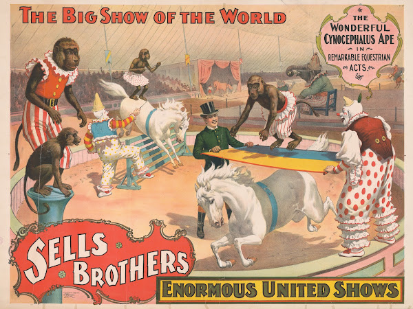 Sells Brothers enormous united shows The wonderful cynocephalus ape in remarkabl