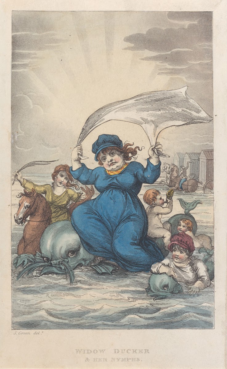 Widow Ducker  Her Nymphs 1813