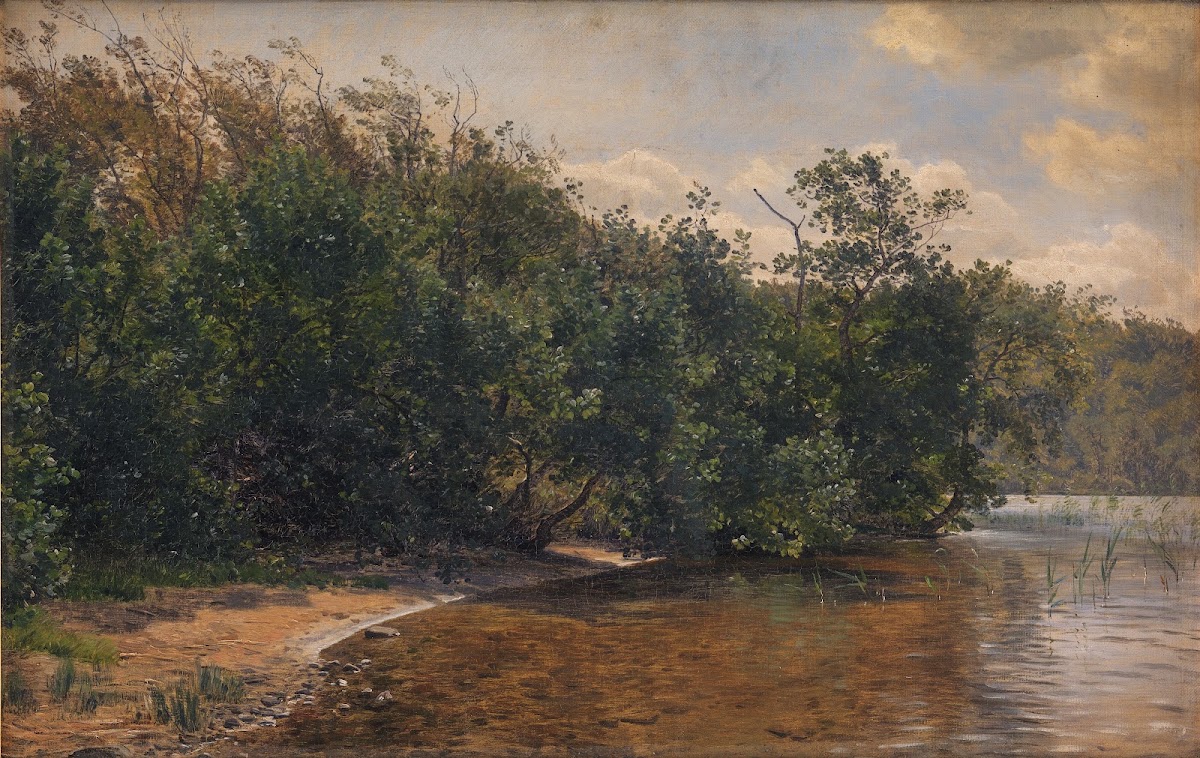 Ellebuske ved Almind Sø 1873