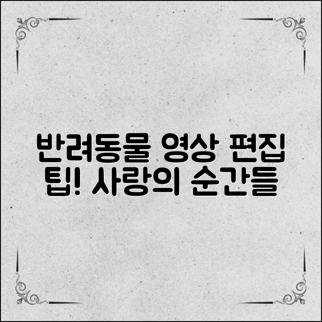 반려동물영상편집방법: 사랑스러운 순간을 담는 팁