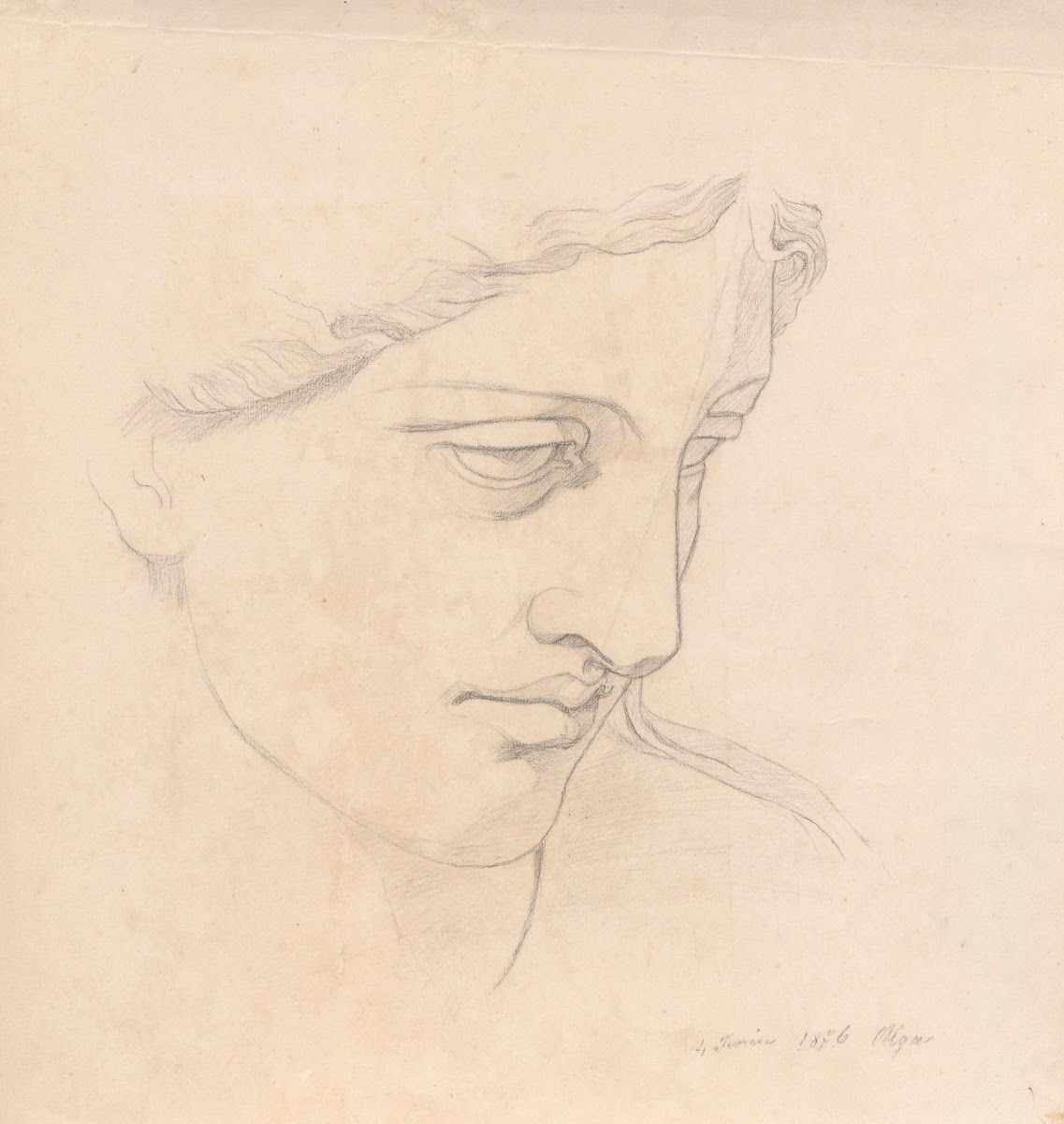 Study of a face from the sculpture of Venus of Arles 1876