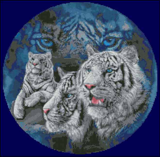 CMP 400159 White Tigers In A Circle