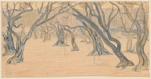 An alley of leafless trees after 1900