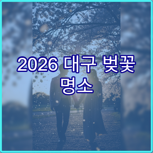 2026 대구 벚꽃 명소 순위 1위 수성못 평일 방문 최적의 시간대 가이드
