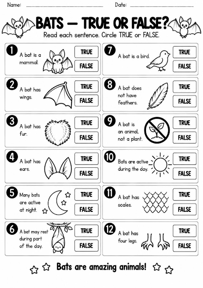 Bat True or False Worksheet