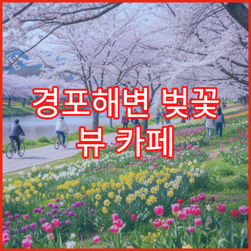 경포해변 벚꽃 뷰 카페 3월 테이크아웃 추천 메뉴 TOP3
