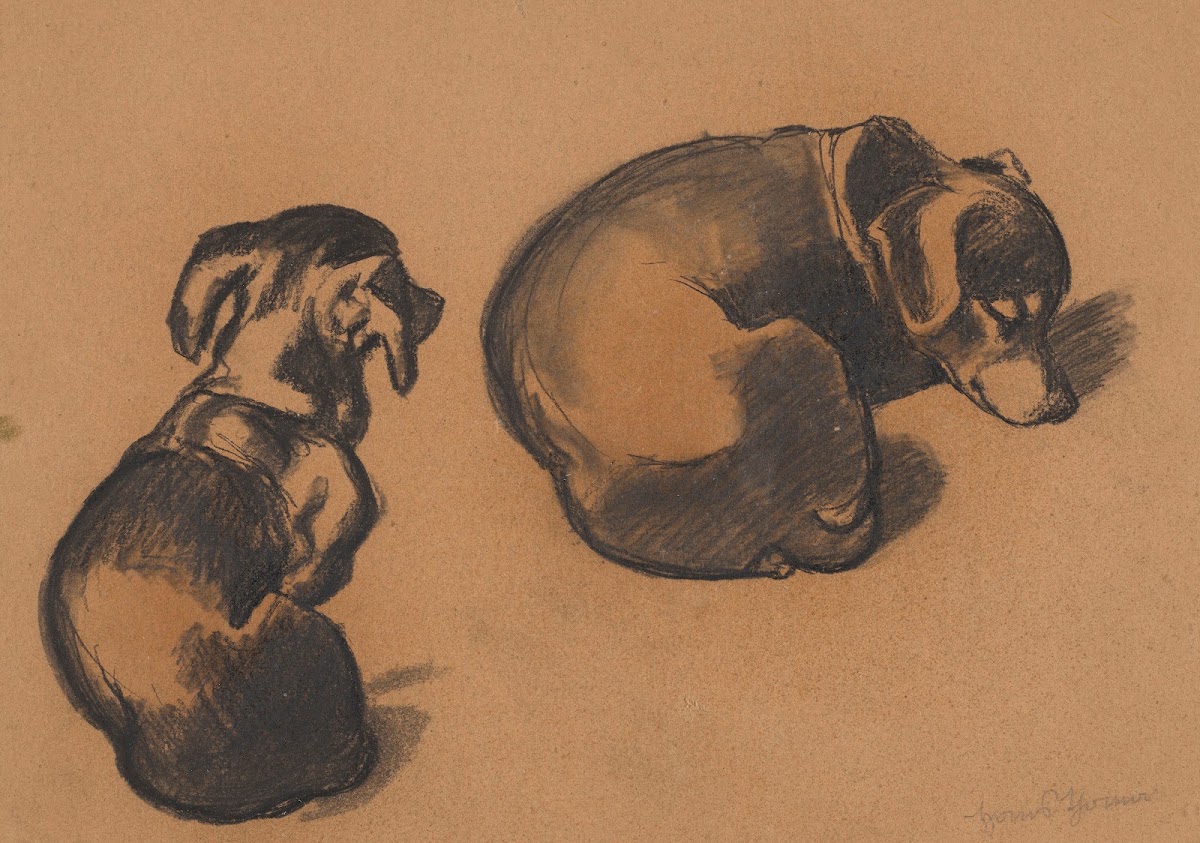Studies of a dachshund 1885