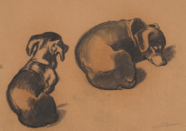 Studies of a dachshund 1885
