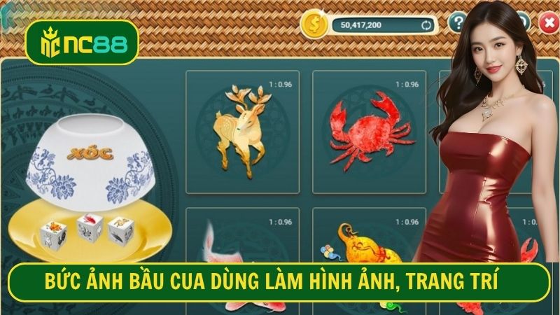 Bức ảnh bầu cua dùng làm hình ảnh, trang trí
