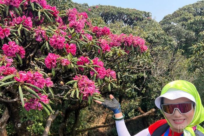 Hành trình chinh phục Putaleng và lời hẹn với hoa đỗ quyên - Báo Lào Cai