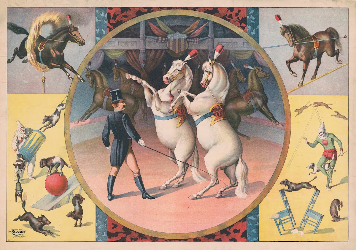 Circus horses and trainer 1891
