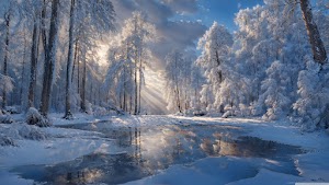 Winter Nature Wallpaper