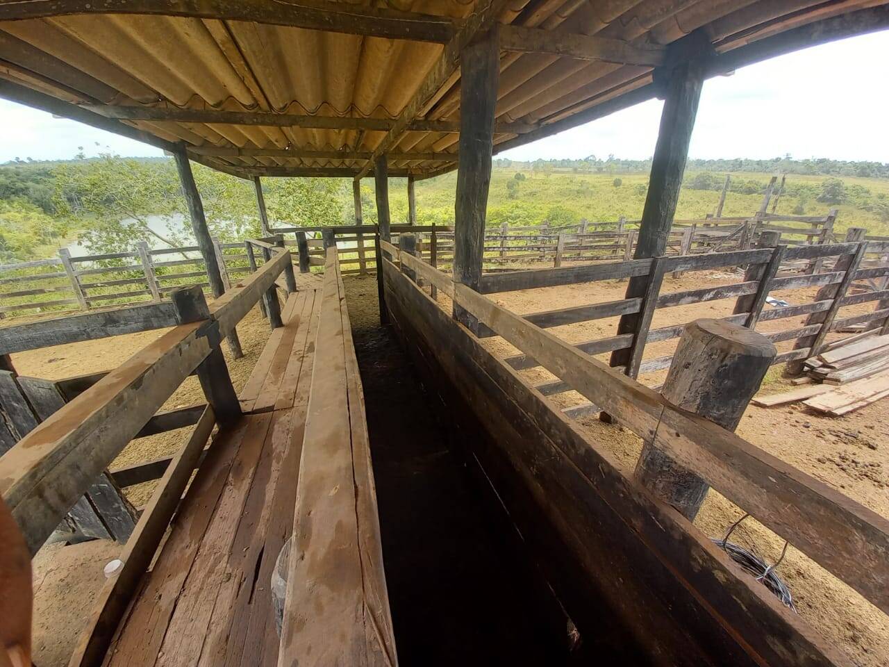 Fazenda em Tucuruí-PA 8
