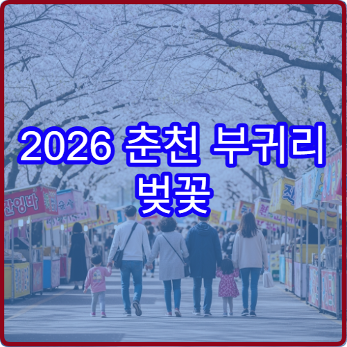 2026 춘천 부귀리 벚꽃 개화 늦은 강원 최후방 명소 가이드