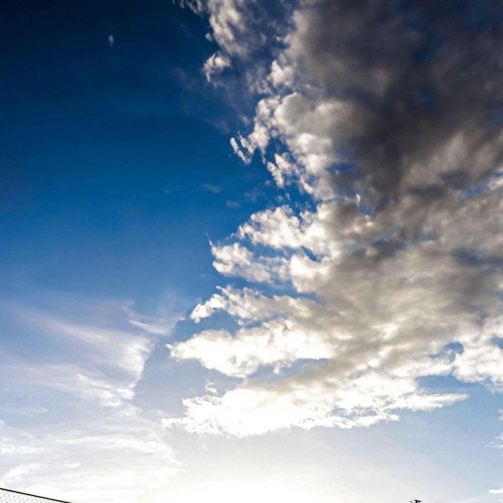 Download Formula One, Ferrari, Racing, Motorsport iPhone