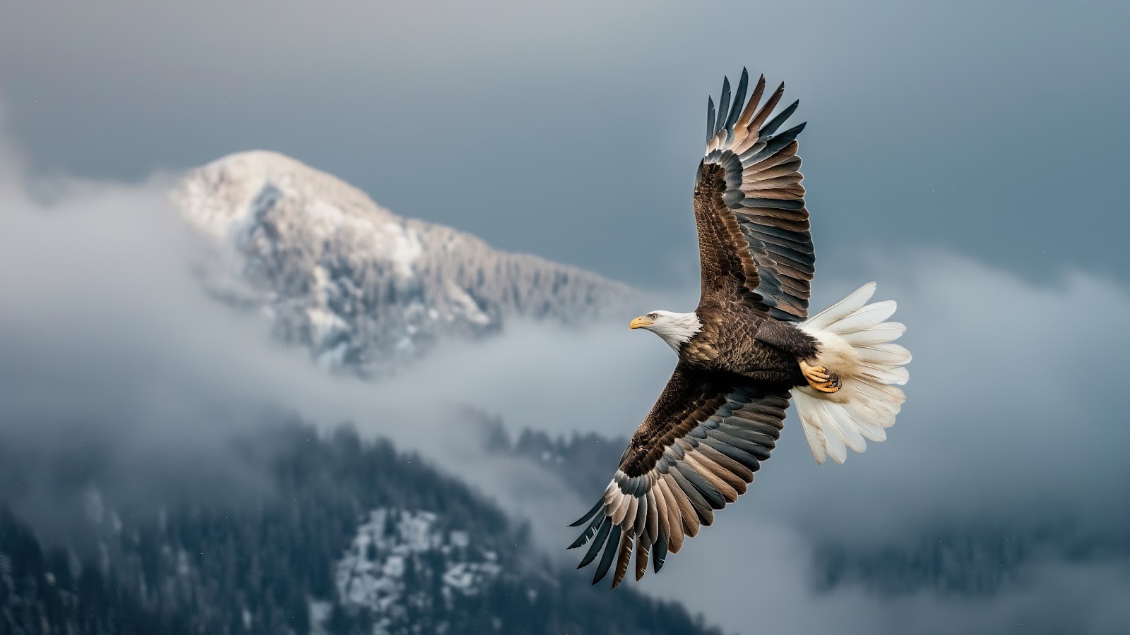 Eagle Mountain Wallpaper