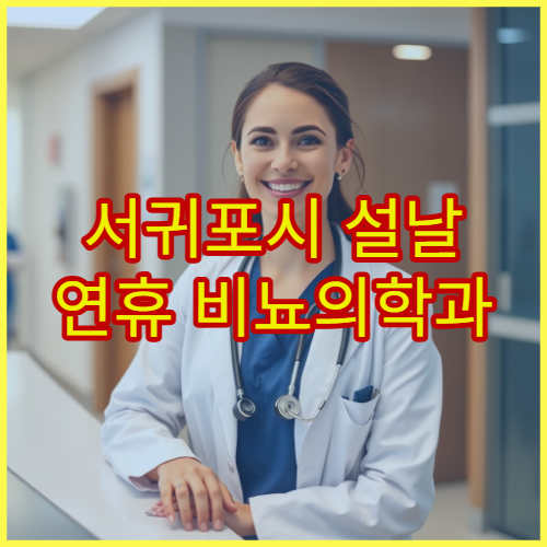 서귀포시 설날 연휴 비뇨의학과 진료 병원 찾기