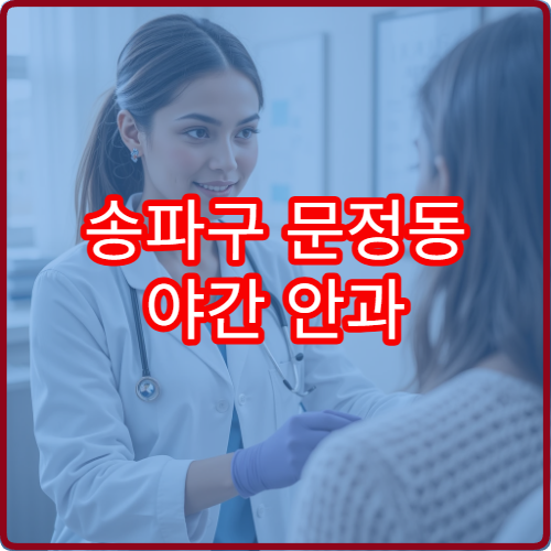 송파구 문정동 야간 안과 진료 병원 시력 검사 야간 운영 안내