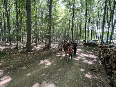 Kalocsa - IMG_0223.JPG