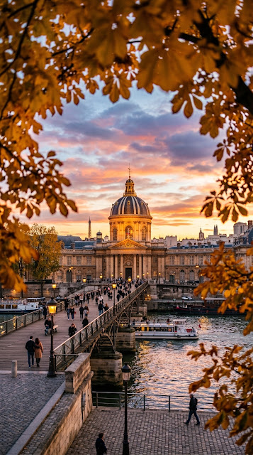 Institut de France in Paris Framed by Autumn Leaves at Sunset - Free mobile Wallpaper