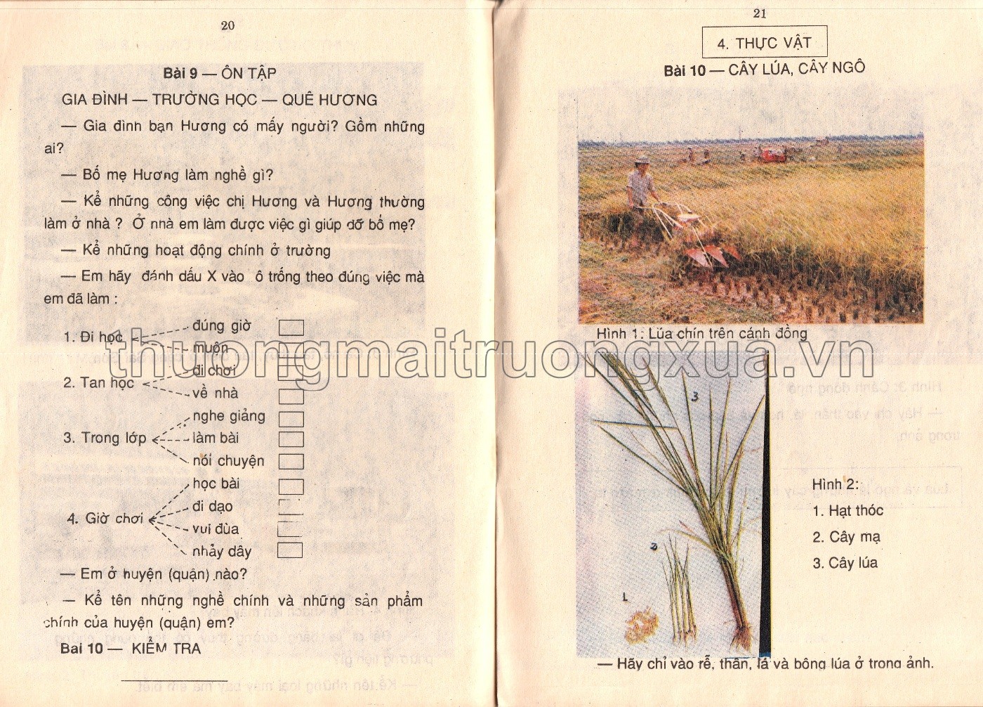 Tiếng Việt 4 (tập 1 - 1992) - Trang 12