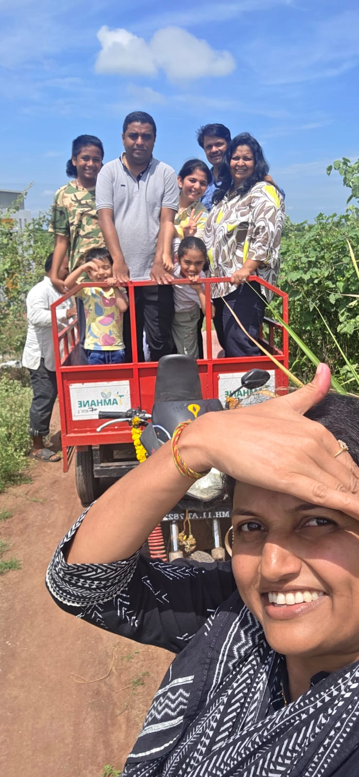 Fresh tomatoes on the vine in rich soil.