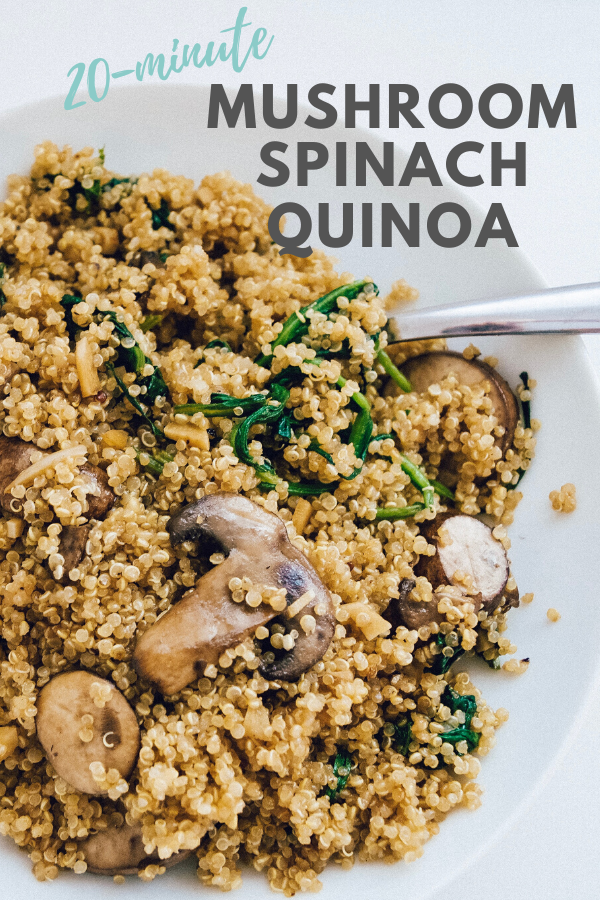 650+ easy recipes stuffing recipes