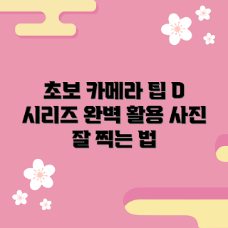 니콘D, 초보 카메라, 사진 촬영 팁, 니콘D 활용법, 초보자 가이드