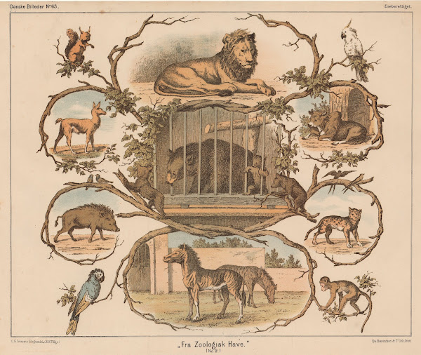 Fra Zoologisk Have No 2 1863
