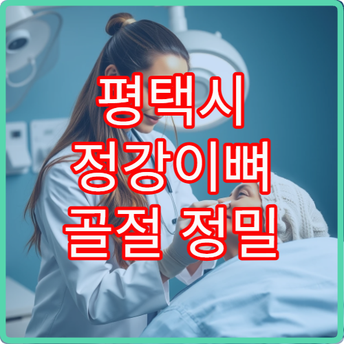 평택시 정강이뼈 골절 정밀 진단과 회복 재활 전문 병원 정보