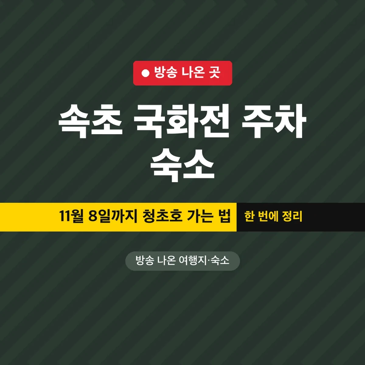속초 국화전 주차 숙소, 11월 8일까지 청초호 가는 법