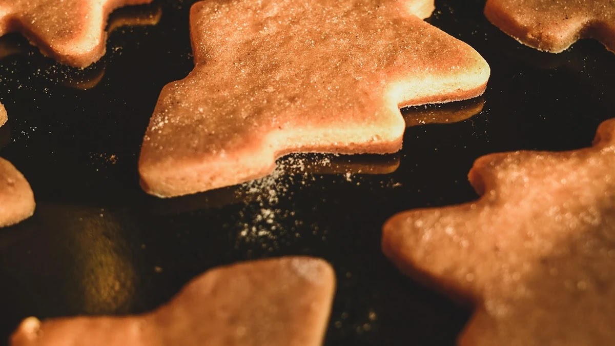 알고리즘 공부 순서 추천: 입문부터 심화까지 단계별 전략