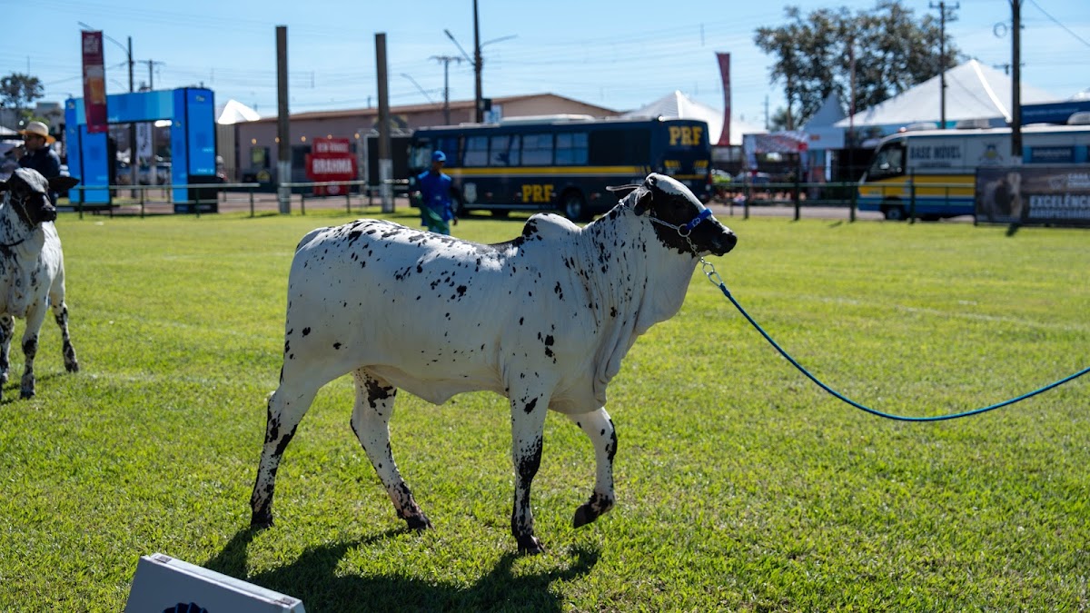 EXPOALAN 9 (6) - Expoagro 2026
