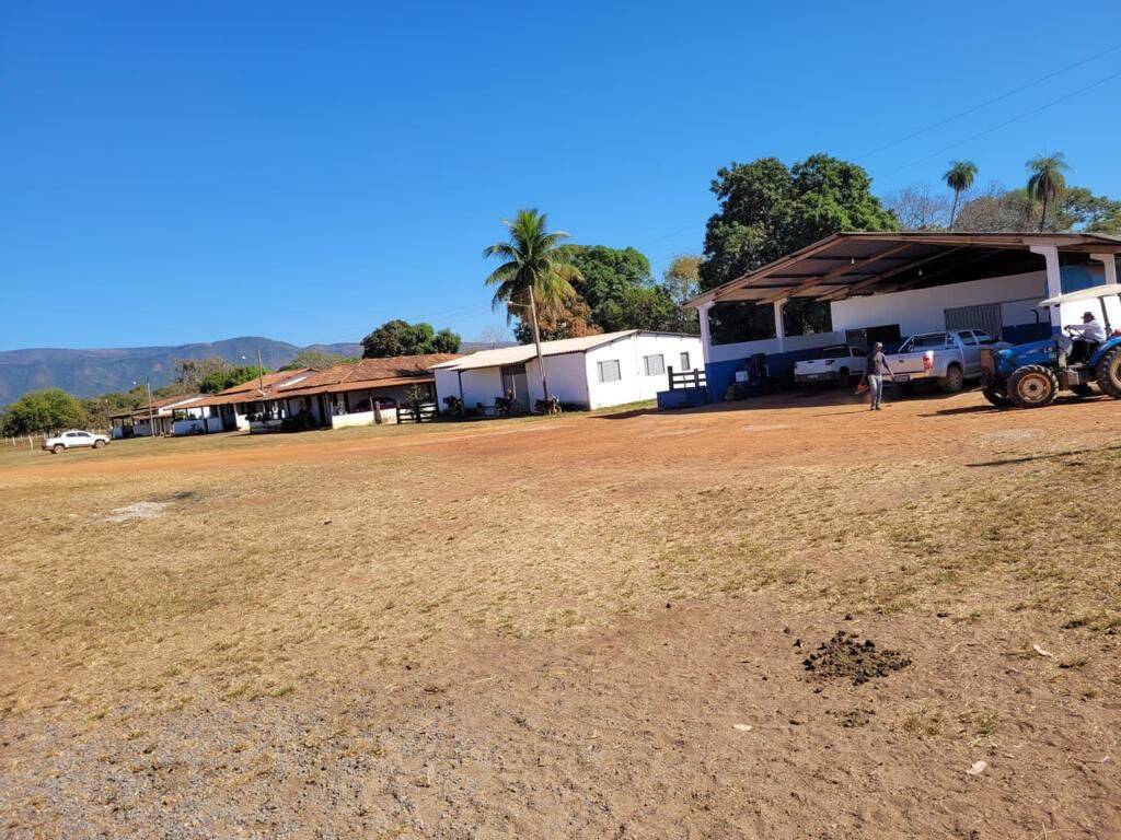 Fazenda em Formosa-GO 4