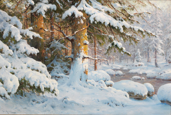 Winter im Wald