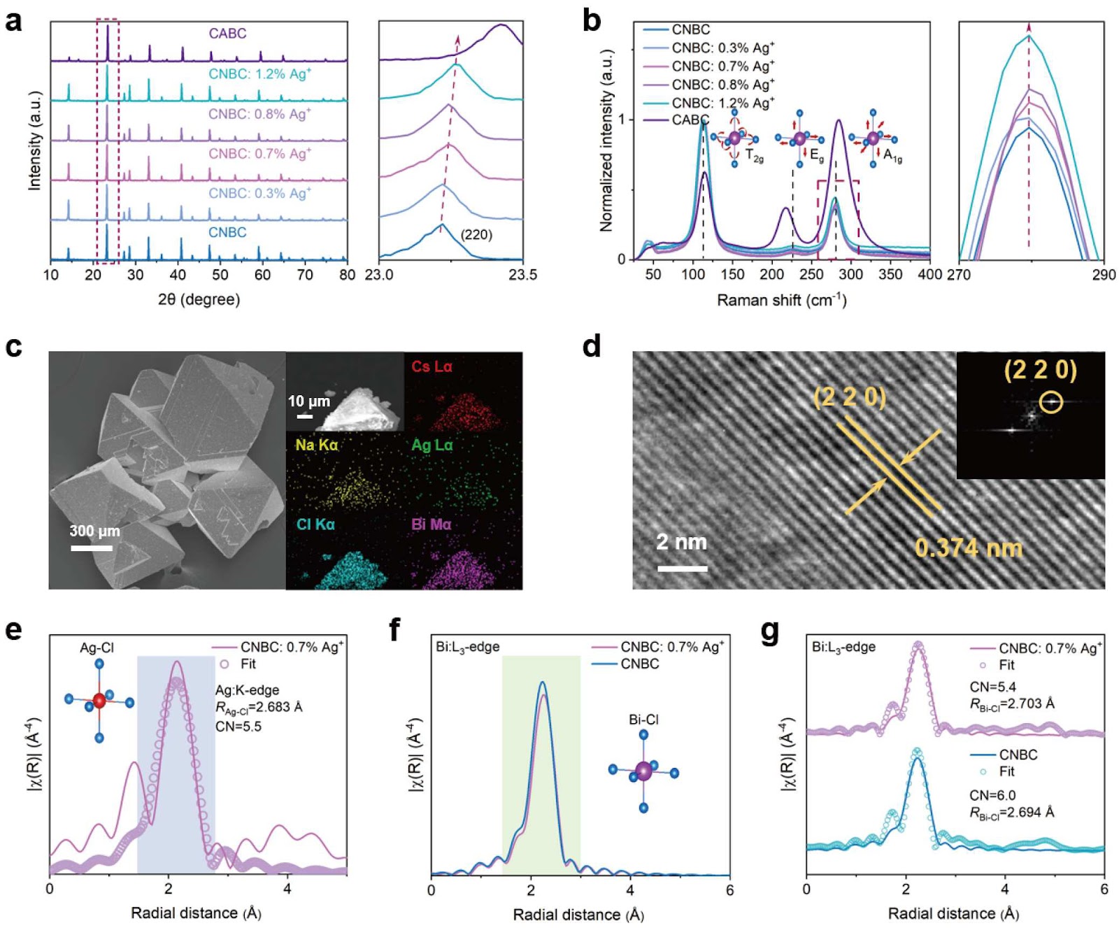 Enhanced photoluminescence quantum yield in metal halide perovskites via trace Ag doping
