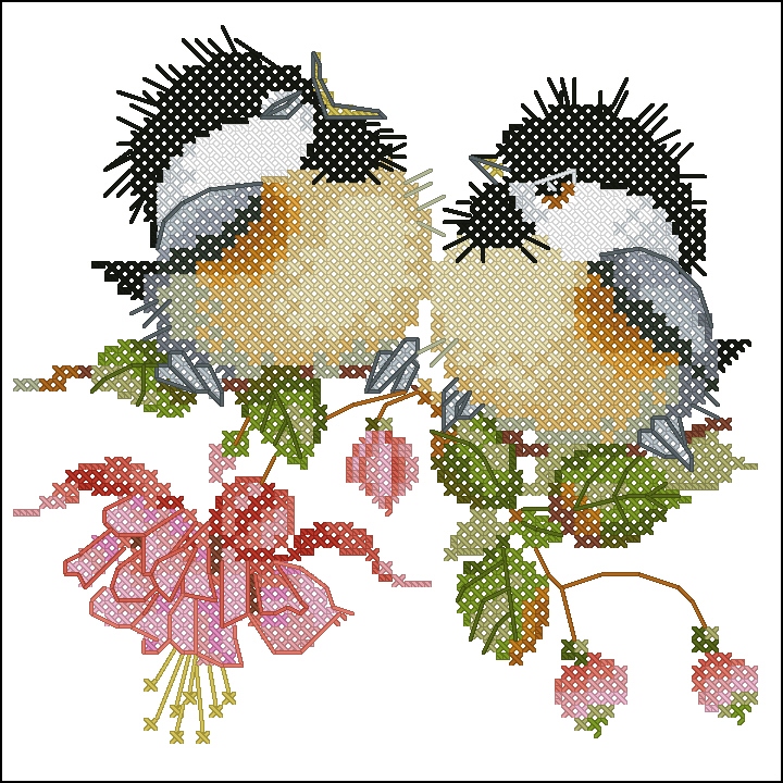 CMP VP777 Fuchsia Chick Chat