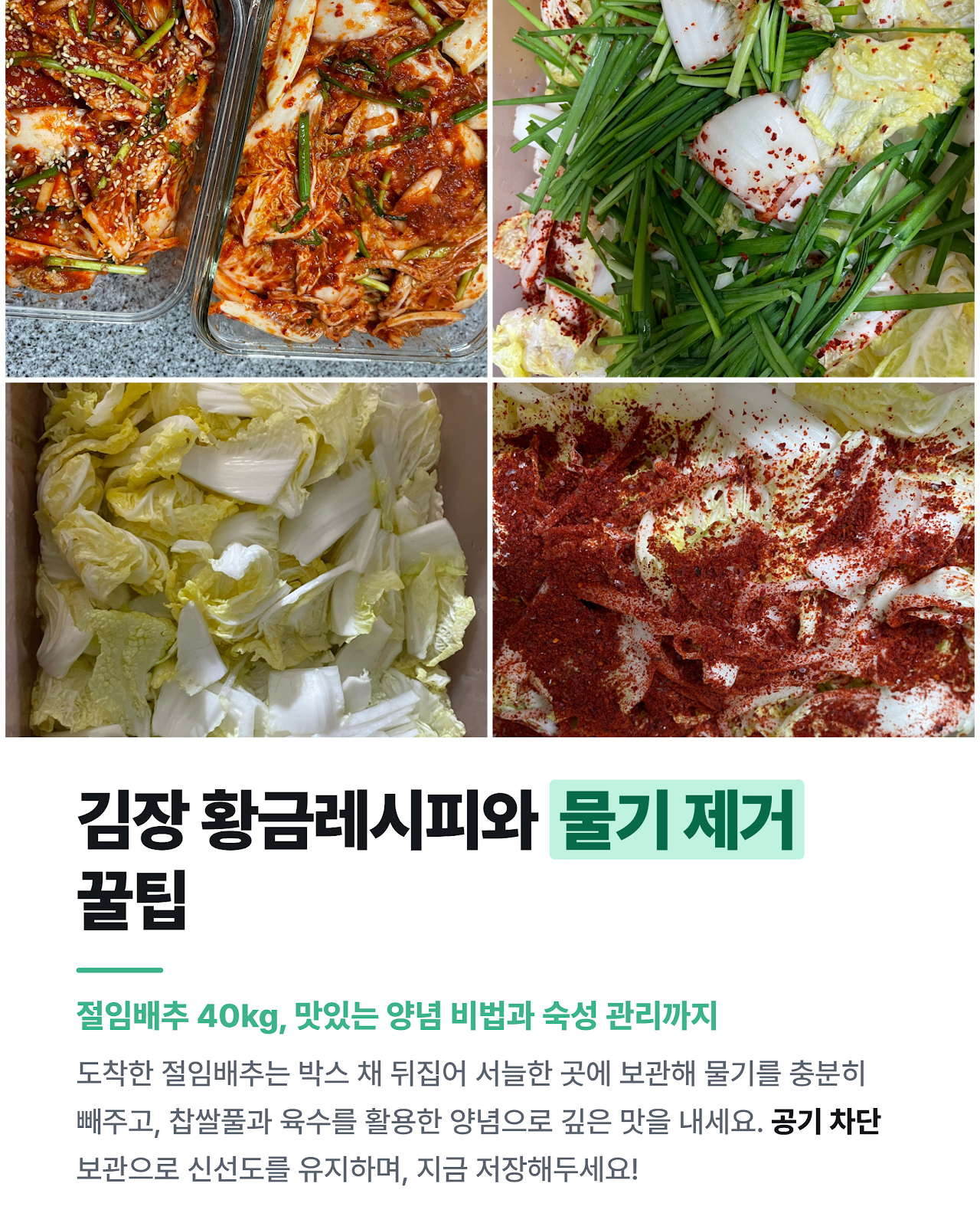 카드뉴스