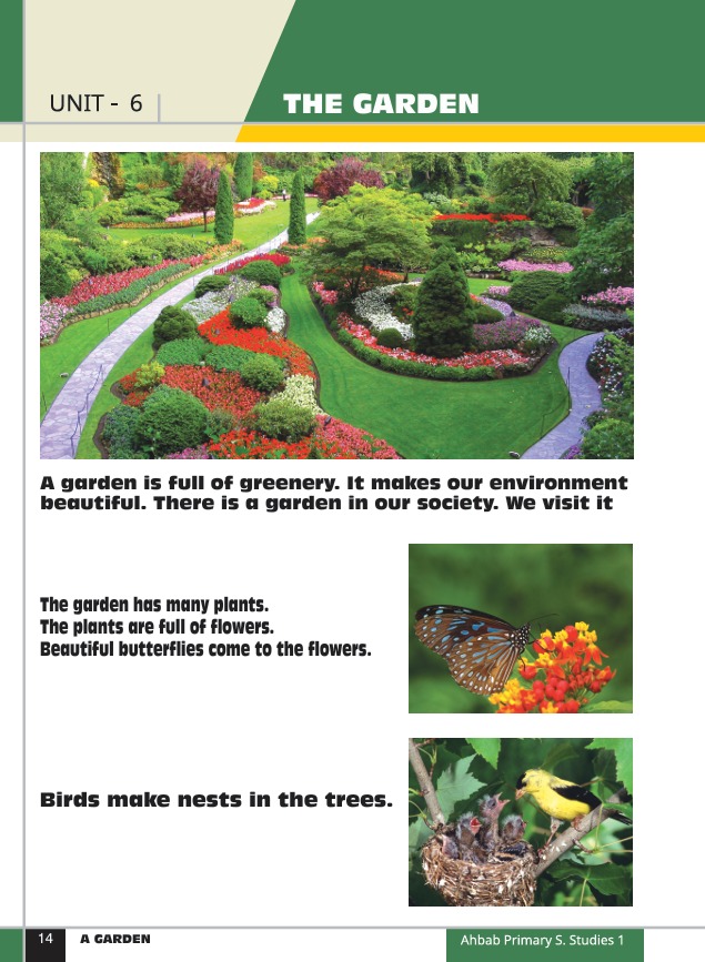 Social Studies Book 1