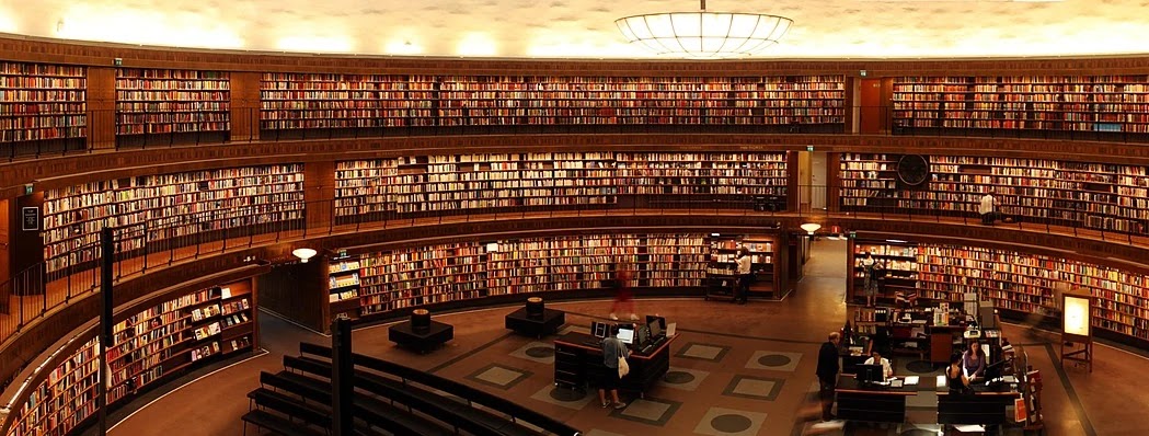 확증편향과 선택적 노출의 심리적 차이와 실험적 증거