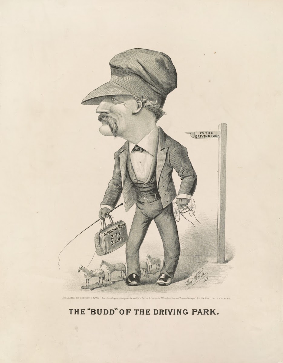 The Budd of the driving park 1876