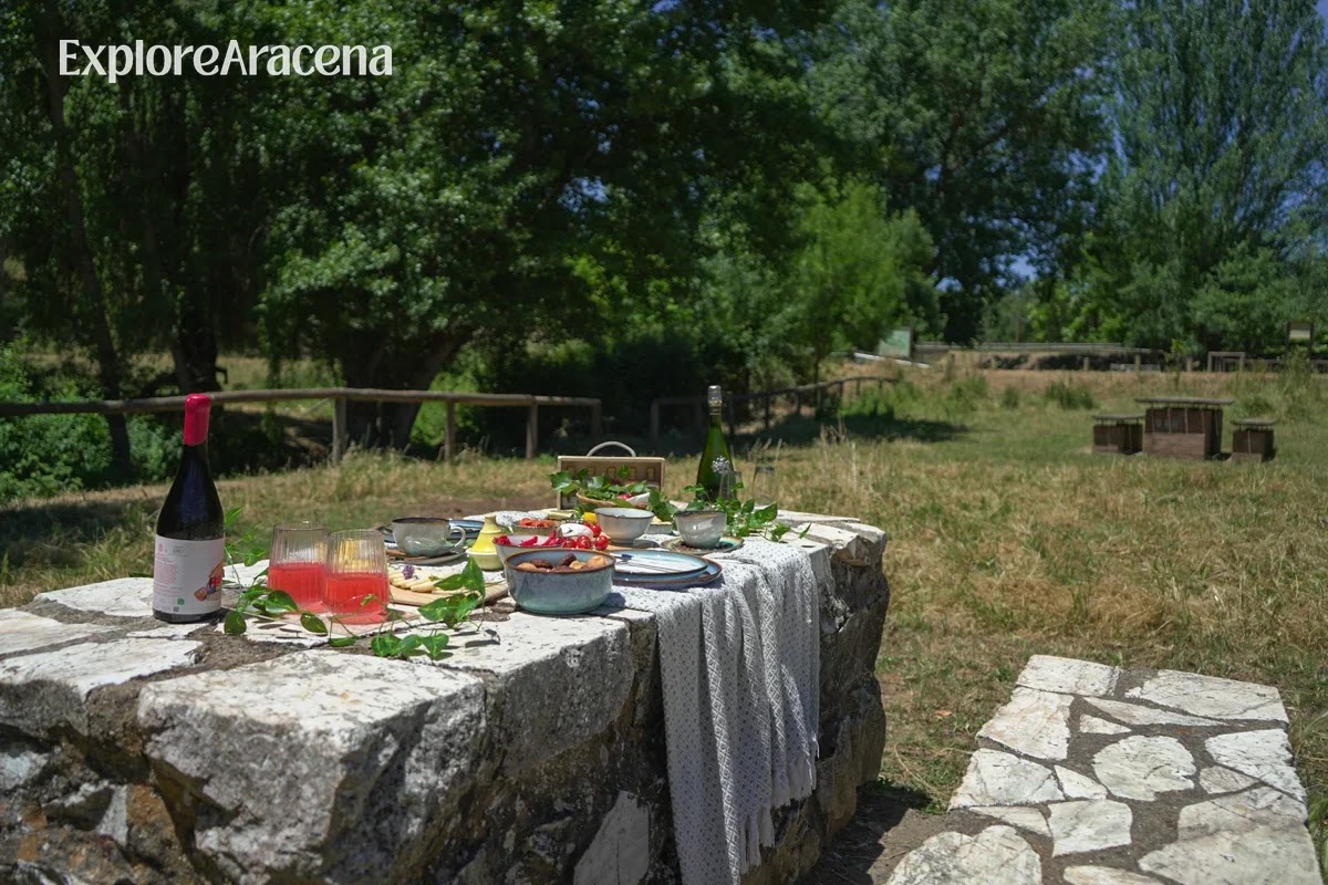Picnic arranged on a stone table surrounded by greenery at the Descansadero de Marimateos near Aracena.