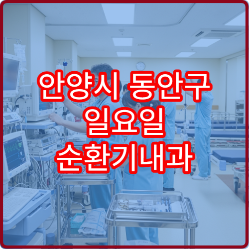 안양시 동안구 일요일 순환기내과 진료 병원 협심증·동맥경화 상담 가능