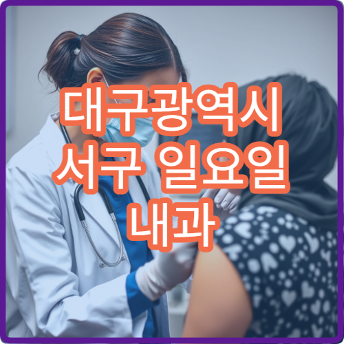 대구광역시 서구 일요일 내과 진료 병원 정리｜주말 당일 진료·접수 가능