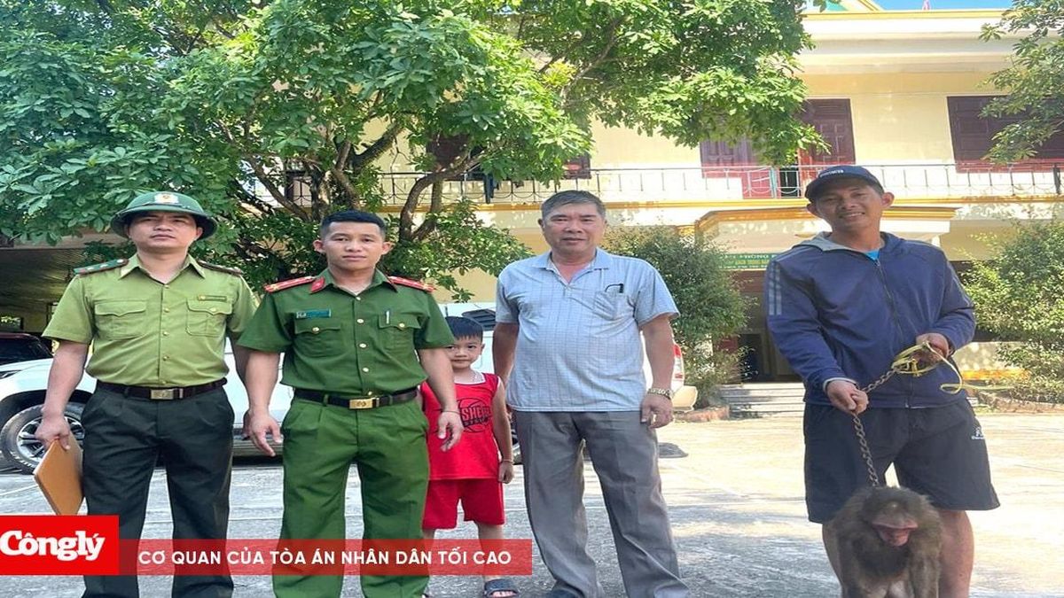 Khỉ mặt đỏ quý hiếm được thả về môi trường tự nhiên - Báo Công Lý